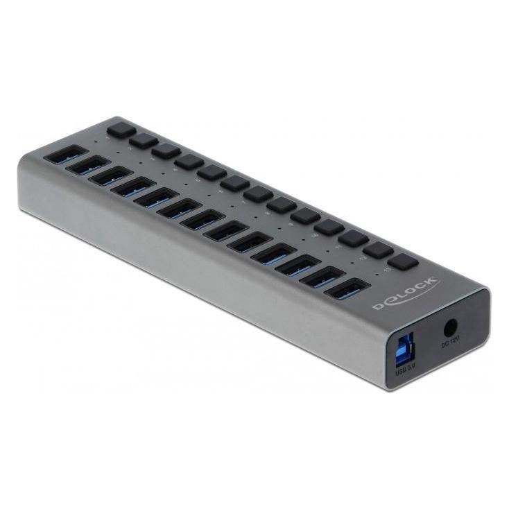 Delock Externer SuperSpeed (USB-B, 13 Ports) (63738)