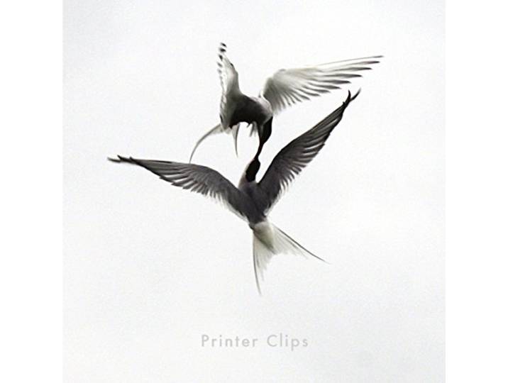 Printer Clips