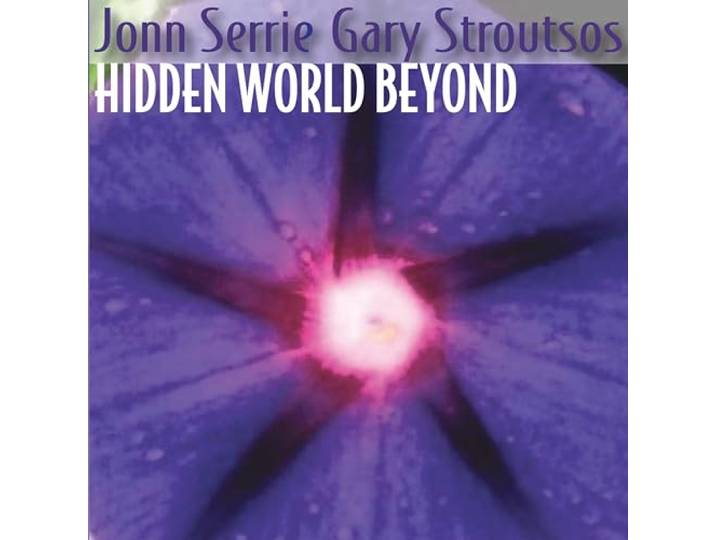 Hidden World Beyond