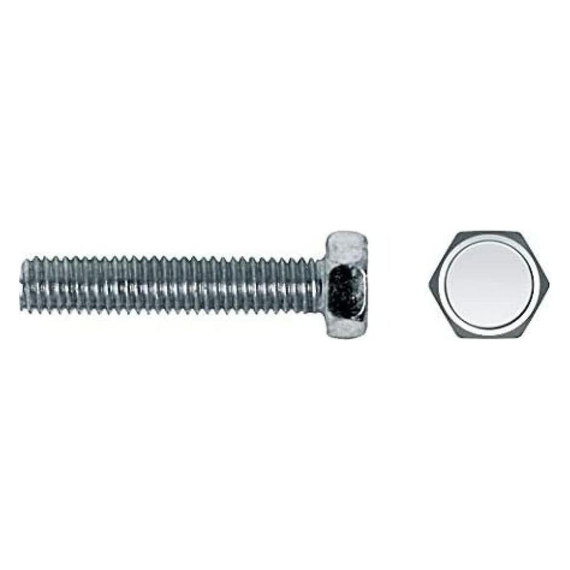 [n]fibrecare Schraubenkasten CELO 6 x 30 mm Metallschraube 250 Stück Verzinkt (250 Schrauben pro Stück) (45292085)