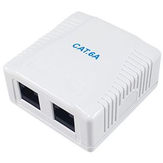 Equip Aufputzdose Cat6A 2-Port 2x RJ45 UTP