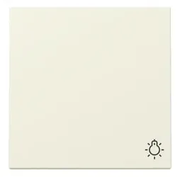 Gira Wippe Symb. Licht 328501