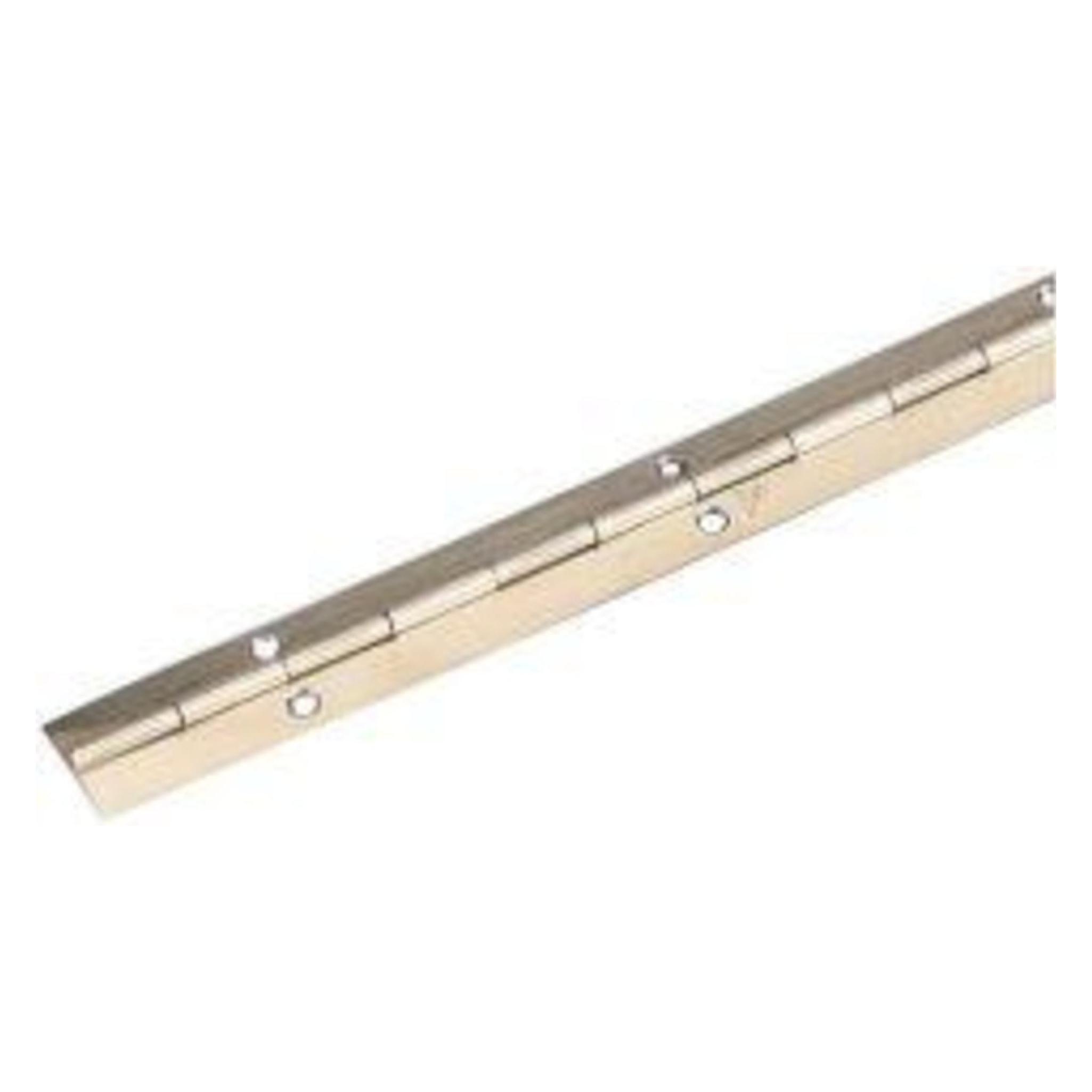 Magni Format 4330816013946 - Stangenscharnier 32 x 600 mmedelstahl sb (4330816013946)