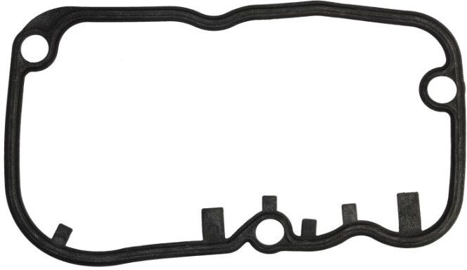 LEMA 20941.06 Rocker cover gasket