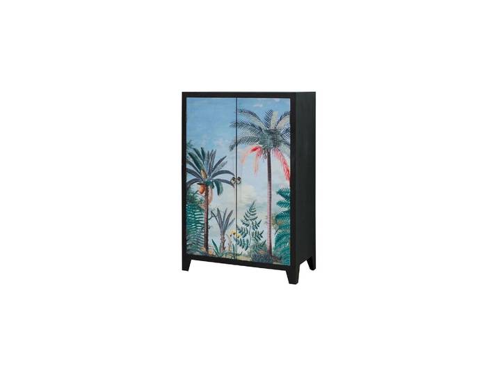 Armoire en bois de pin multicolore, 2 portes, 3 étagères, avec ra