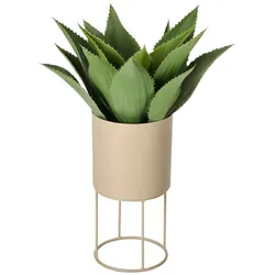 Tchibo - Runde Pflanzbox - beige