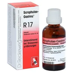 Scrophulae-Gastreu R17 22 ML
