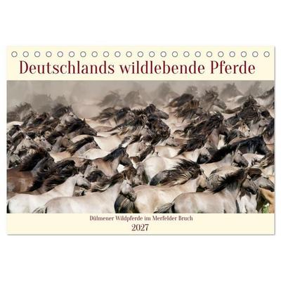 Deutschlands wildlebende Pferde (Tischkalender 2027 DIN A5 quer), CALVENDO Monatskalender