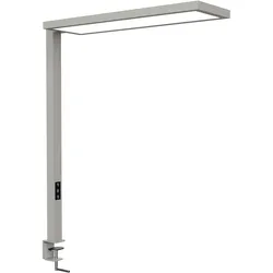Maul, Tischlampe, LED Tischaufbau MAULsenja, dimmb., Bewegungs-/Lichtsensor - silber