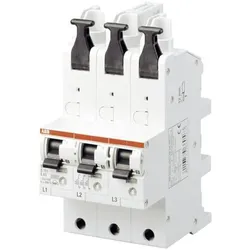 ABB 2CDS781001R4402 S751/3-E40 Hauptleitungsschutzschalter 3polig