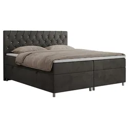 BOXBETT ROMA 180/200 - Dunkelgrau Velvet - H3