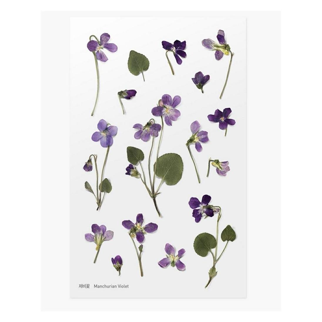 Appree Dekorative Blumenaufkleber - Violett (40938235)