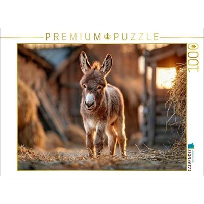 CALVENDO Puzzle Ein Fohlen auf wackeligen Beinen | 1000 Teile Lege-Größe 64x48cm Foto-Puzzle für glückliche Stunden, von , Calvendo Puzzle