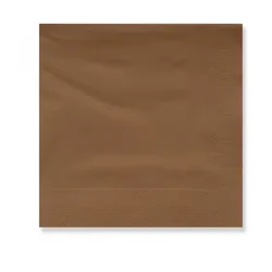 Karton 60 Stück. Papierservietten 20x20 2 Lagen – Farbe – Braun