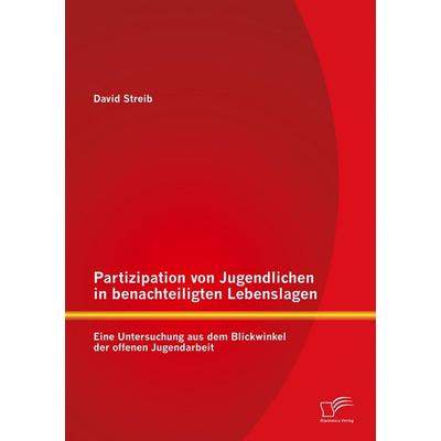Partizipation von Jugendlichen in benachteiligten Lebenslagen: Eine Untersuchung aus dem Blickwinkel der offenen Jugendarbeit, Taschenbuch von David