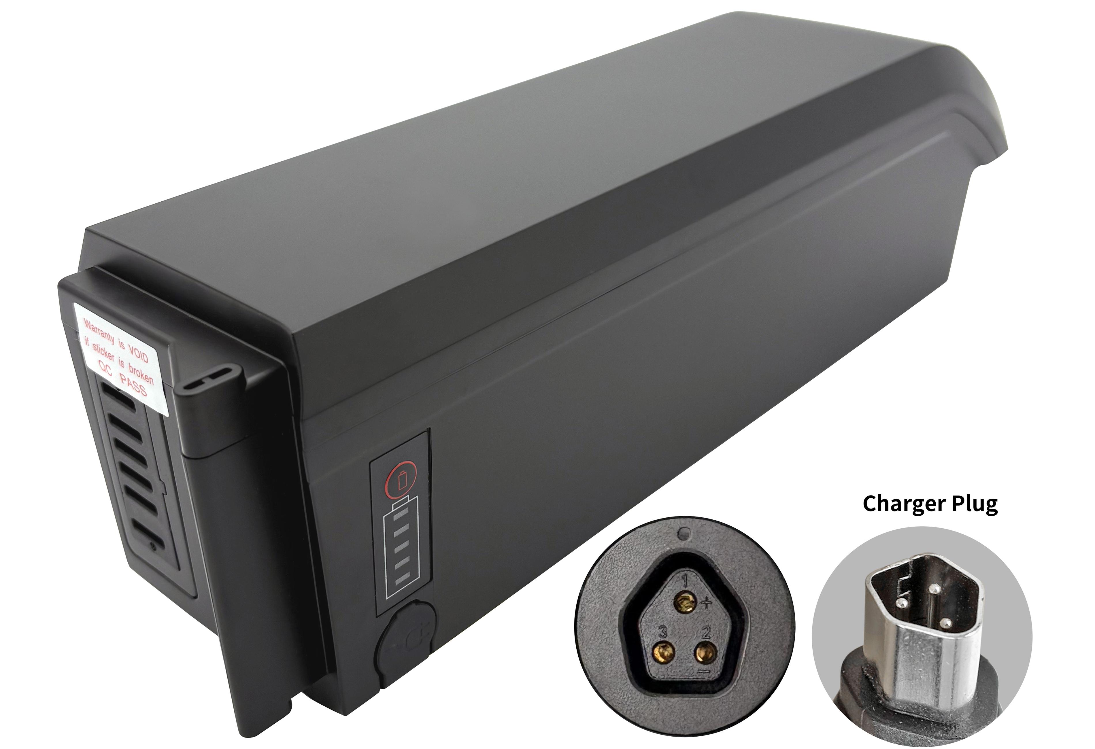 Phylion SF 06-S Joycube 48V 14Ah 655.2Wh E-Bike Pedelec akku für FISCHER VIATOR ETH/ETD 1861+