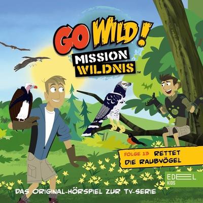 Folge 13: Rettet die Raubvögel / Die Regenwald-Kobolde (Das Original Hörspiel zur TV-Serie) - Andreas Lueck, Audio, 4029759164463