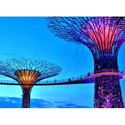 Fototapete PAPERMOON "Singapore Bay Supertrees", bunt, B:5m L:2,8m, Vlies, Tapeten