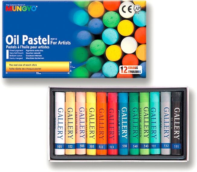 Boîte 12 pastels à l'huile MUNGYO assortis