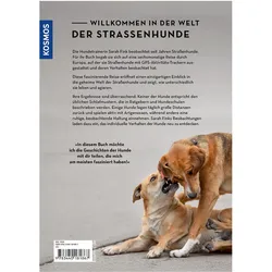 Die geheime Welt der Strassenhunde, Ratgeber von Sarah Fink