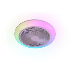 Reality Leuchten Deckenventilator Holmsund Kunststoff