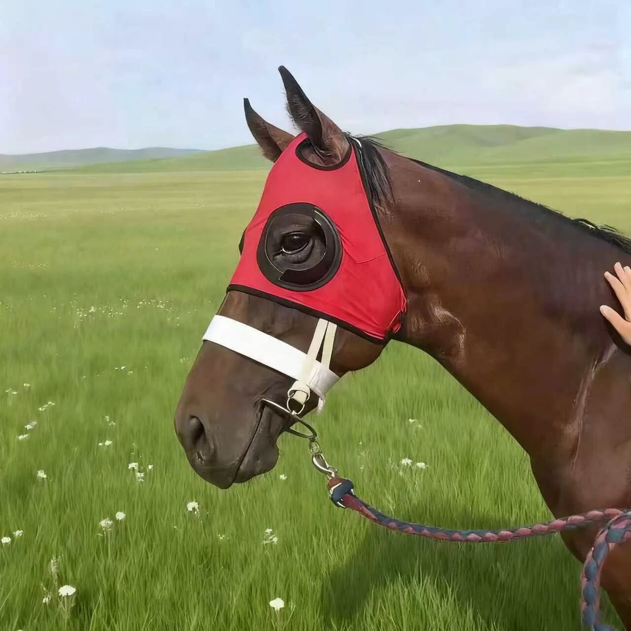 INF Masque Coupe-Vent pour Cheval avec Protection Oculaire en Maille - Équipement Équestre Anti-Sable Rouge