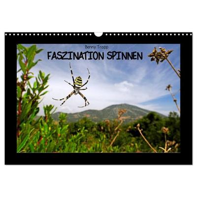 Faszination Spinnen (Wandkalender 2026 DIN A3 quer), CALVENDO Monatskalender