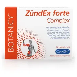 ZÜNDEX forte Complex mit OptiMSM Kapseln 60 St