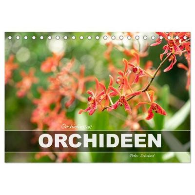 Orchidaceae - Orchideen (Tischkalender 2026 DIN A5 quer), CALVENDO Monatskalender