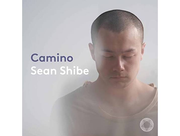 Camino