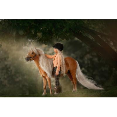 Fototapete PAPERMOON "PALOMINO MINIATURE PFERD-MÄDCHEN WINTER TIER PONY MINI", bunt, B:5m L:2,8m, Vlies, Tapeten