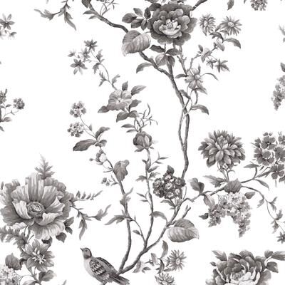 Martha Stewart Floral Vine Silhouette Wallpaper