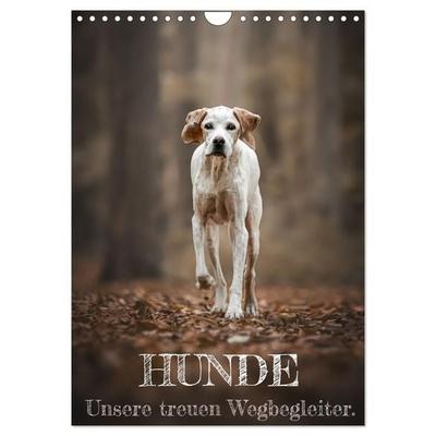 Hunde - Unsere treuen Wegbegleiter. (Wandkalender 2027 DIN A4 hoch), CALVENDO Monatskalender