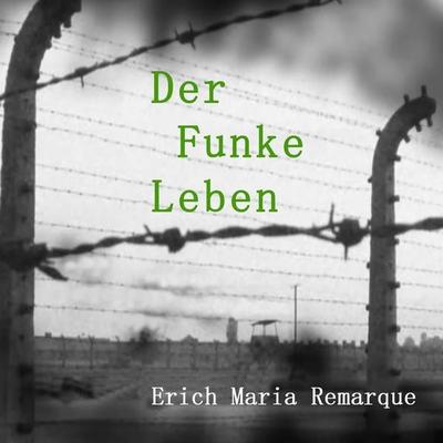 Der Funke Leben - Erich Maria Remarque, CD, 9783863526009