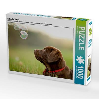 Labrador Welpe (Puzzle), Sonstige von Petra Schiller, Calvendo Puzzle