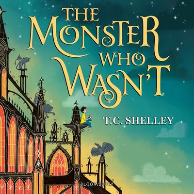 The Monster Who Wasn't - T.C. Shelley, Audio, 9781526617941