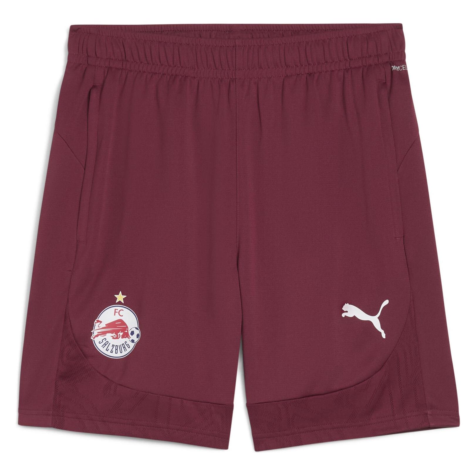 Puma RBS Training Shorts (XS) (778390_09)