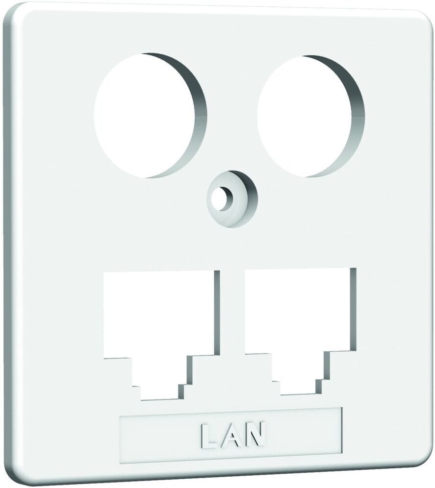 Homeway HW-ZP EK1 LAN/LAN Zentral. 50mm rws HAXHSE-G0401-C021)
