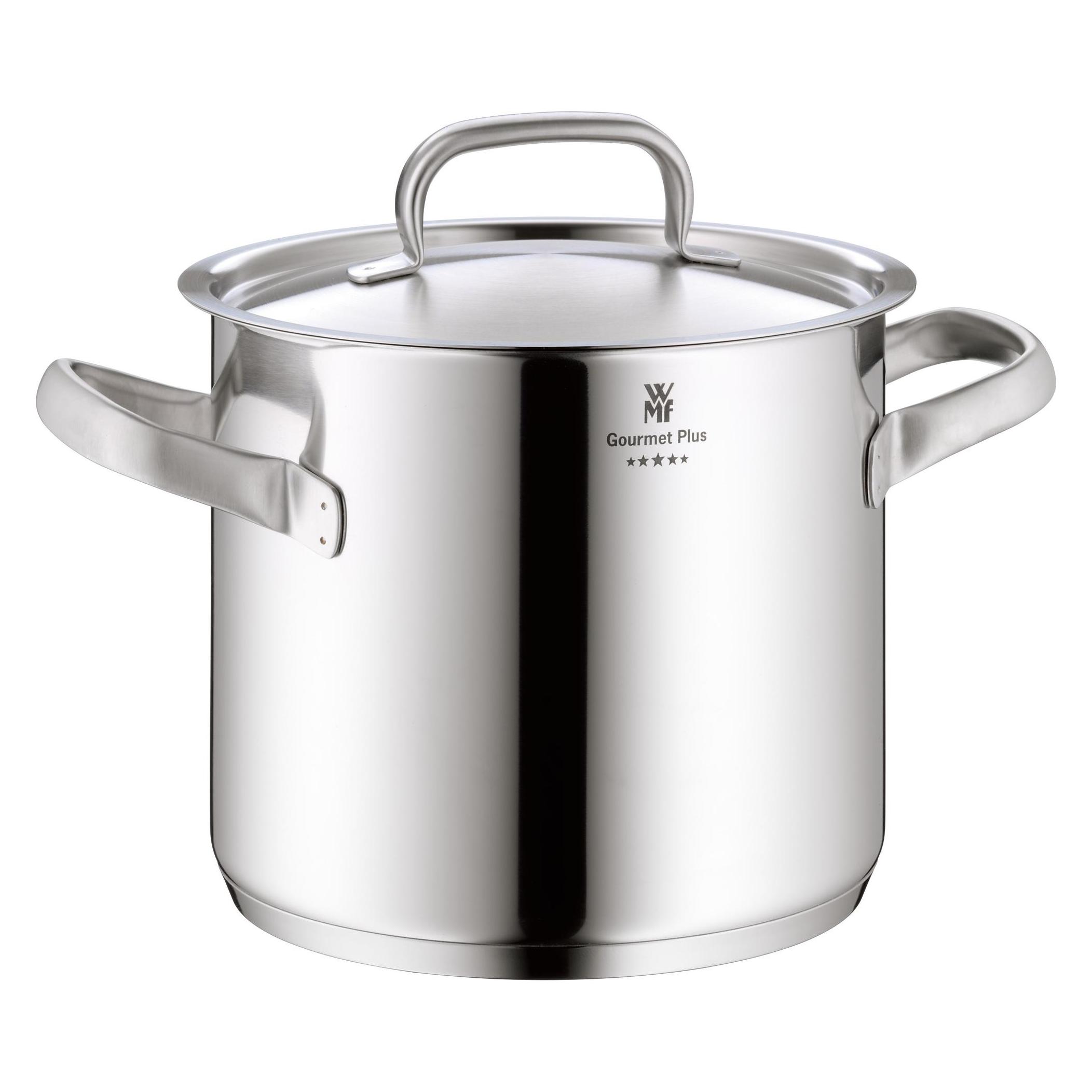 WMF Kochtopf Gemüse- Suppentopf Induktion 24cm hoch 8,8l Gourmet Plus Edelstahl (Kochtopf, Edelstahl, 24 x 20.50 cm) (07.2524.6030)