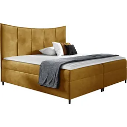 BOXBETT Bergamo - H3