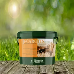 St. Hippolyt Beta-Carotin Mare-Y-Mix 3 kg - Zuchtpferde richtig versorgt