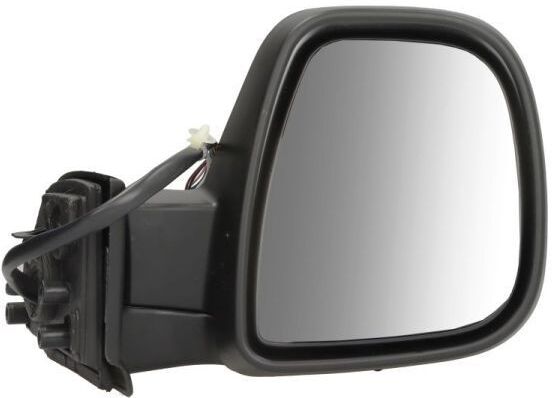 BLIC 5402-21-2194313P Wing mirror