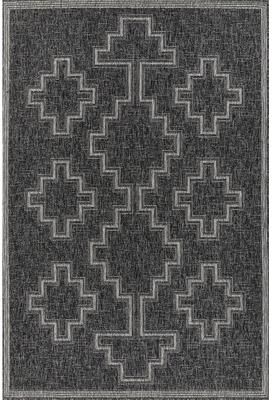 Momeni Hampton Moroccan Indoor/ Outdoor Area Rug