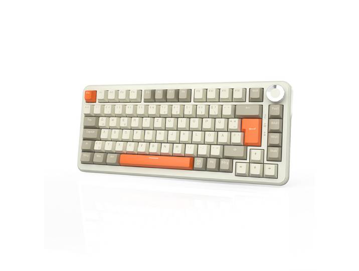 AJAZZ AK820 MAX Clavier mécanique de jeu sans fil disposition allemande QWERTZ switch Flying Fish molette de volume touche allemande Tri-mode disposition 75 % clavier mécanique de bureau 8000 mAh longue autonomie bureau RGB DIY jeu bureau double usage