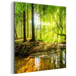 METALLBILD Wald - Landschaft - Wasser - Bäume - Sonne - Grün - Natur 90x90 cm
