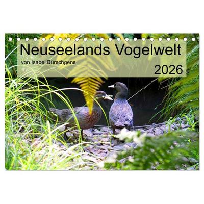 Neuseelands Vogelwelt (Tischkalender 2026 DIN A5 quer), CALVENDO Monatskalender