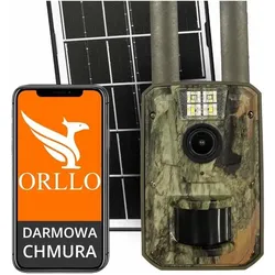 Orllo, Wildkamera