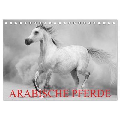Arabische Pferde (Tischkalender 2027 DIN A5 quer), CALVENDO Monatskalender