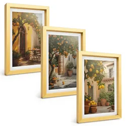 BILDER SET 3er Set - 20x30 cm Goldrahmen - Zitrustöpfe für sonnige Terrassen