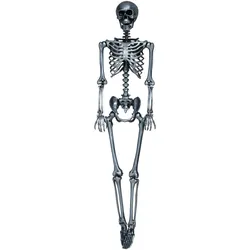 Metamorph Silbernes Skelett Mick – Halloweendeko 90 cm